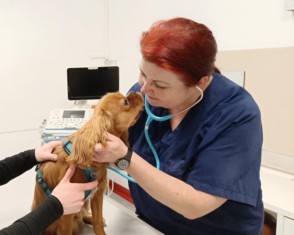 margit fruth streichelt hund